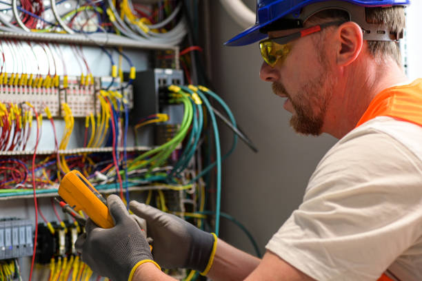 Best Electric Panel Repair  in Jasper, FL